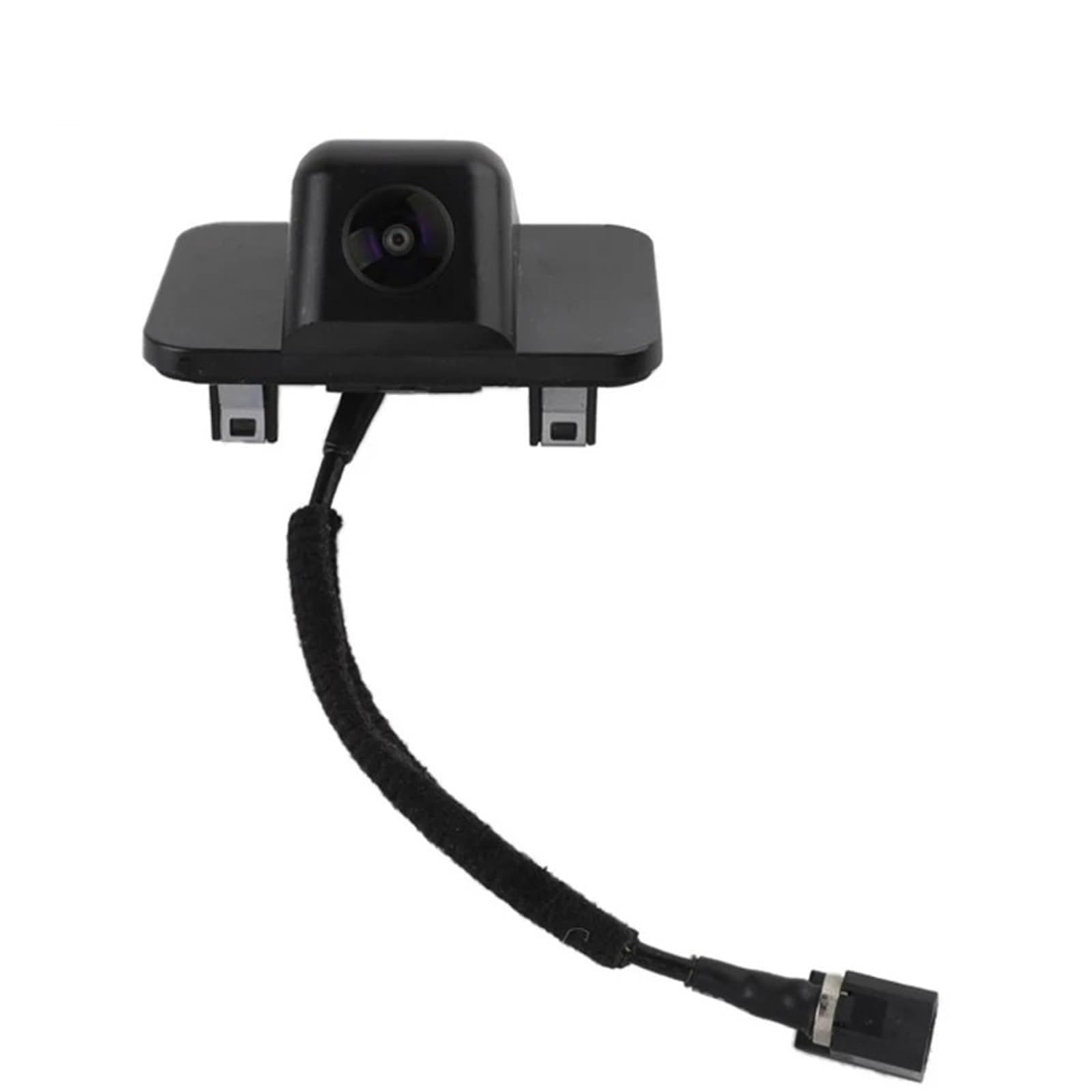 普通科　可可 511cxtM322L._UF350,350_QL50_.jpg